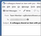 Courriel Arnaque A Team Member Shared An Item
