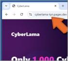 CyberLama Mint Arnaque