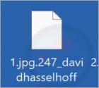 Rançongiciel DavidHasselhoff