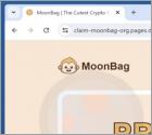 MoonBag Presale Arnaque