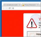 Your Computer May Have a Virus! Arnaque