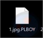 Rançongiciel PlayBoy LOCKER