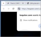 Toqutor.com Annonces