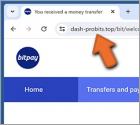 Faux BitPay Wallet Arnaque