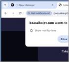 Publicités boasaikaipt.com