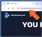 Blockchain.com Money Transfer Arnaque