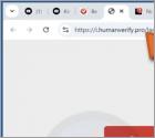 Attempt To Log Into Your Gmail Account Arnaque