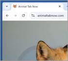 Animaltabnow.com Redirection