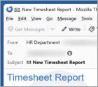Courriel Arnaque Timesheet Report
