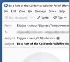 Courriel Arnaque Binance Charity - California Wildfires Fundraiser