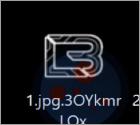 Rançongiciel Orion Hackers