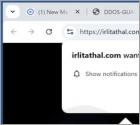 Publicités irlitathal.com