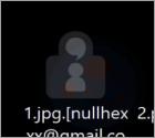 Rançongiciel Nullhexxx