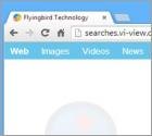 Redirection vers Searches.vi-view.com