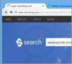 Redirection vers www-searching.com
