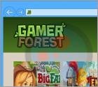 Logiciel de publicité GamerForest