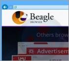 Logiciel de publicité BeagleBrowser