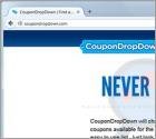 Logiciel de publicité CouponDropDown