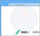 Redirection vers Dnsioweb.net