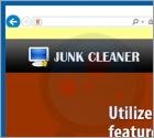 PPI Junk Cleaner