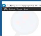 Redirection vers Surfpageing.com