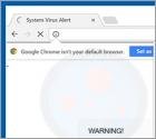 Arnaque Windows Security Alert