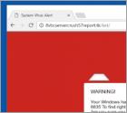Arnaque Microsoft System Security Alert