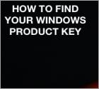 Comment Trouver Vos Clef de Produit Windows ou Office?