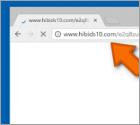 Redirection vers Hibids10.com POP-UP