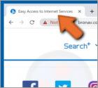 Pirate de navigateur 'Easy Access to Internet Services'