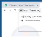 Redirection POP-UP Hajoopteg.com