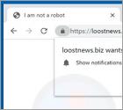 Publicités Loostnews.biz