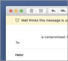 Arnaque I'm A Programmer Who Cracked Your Email