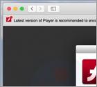 POP-UP Arnaque "Adobe Flash Player" Is Out Of Date (Mac)