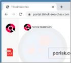Pirate de Navigateur TiktokSearches