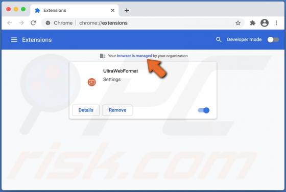 Pirate de navigateur UltraWebFormat (Mac)