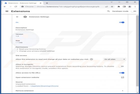 Pirate de Navigateur Extension Settings