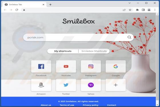 Pirate de Navigateur Smilebox Tab