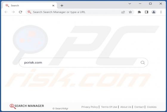 Pirate de Navigateur Search-Mgr