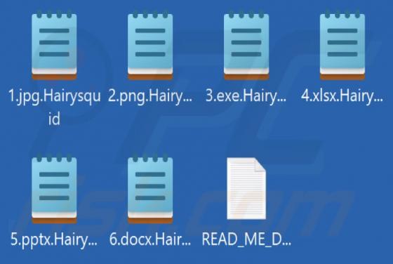 Rançongiciel Hairysquid