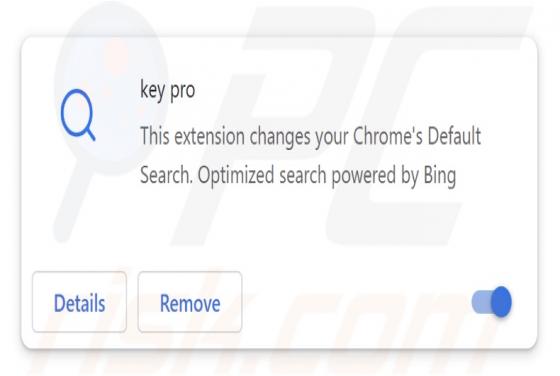 Pirate de Navigateur Key Pro