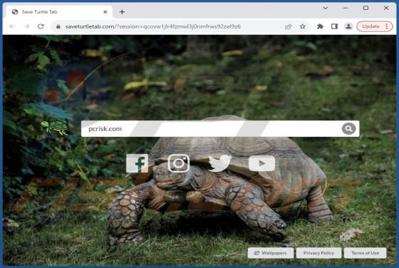 Pirate de Navigateur Save Turtle Tab