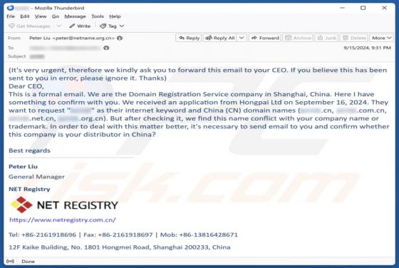Courriel Arnaque Domain/Company Name Conflict
