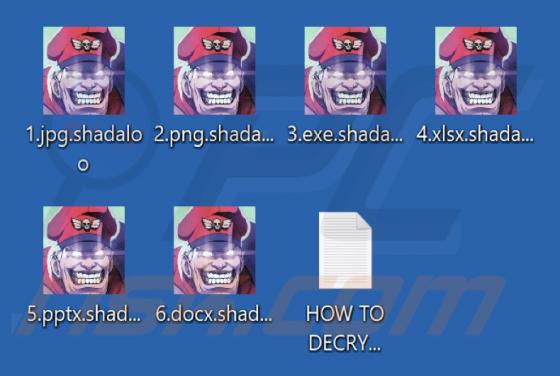 Rançongiciel Shadaloo