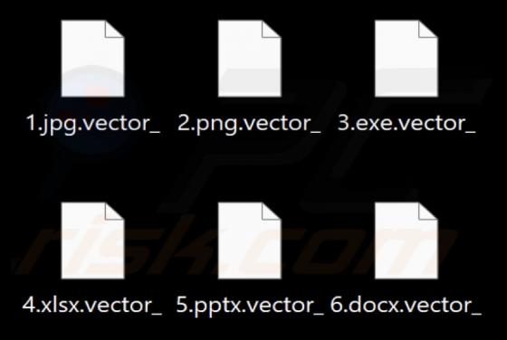 Rançongiciel Kadavro Vector