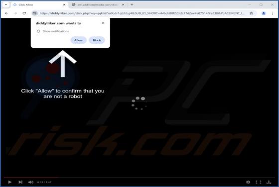 Diddylliker.com Annonces