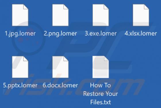 Rançongiciel ANUBIZ LOCKER