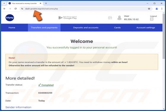 Faux BitPay Wallet Arnaque