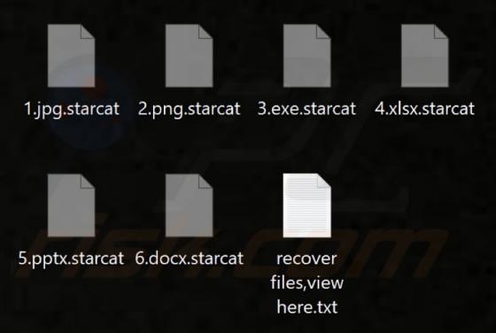 Rançongiciel Starcat