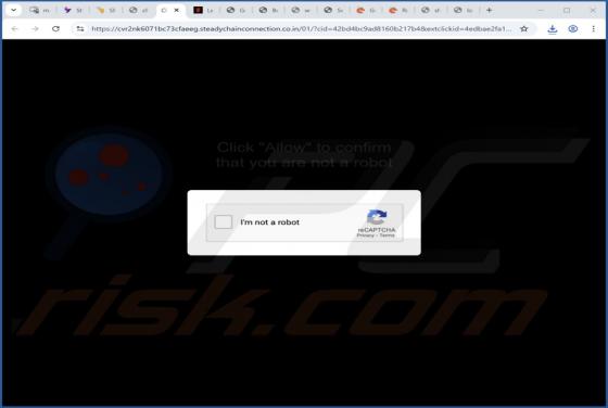 Publicités Steadychainconnection.co.in